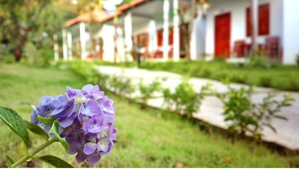 Highland Bungalow Phu Quoc Exteriér fotografie