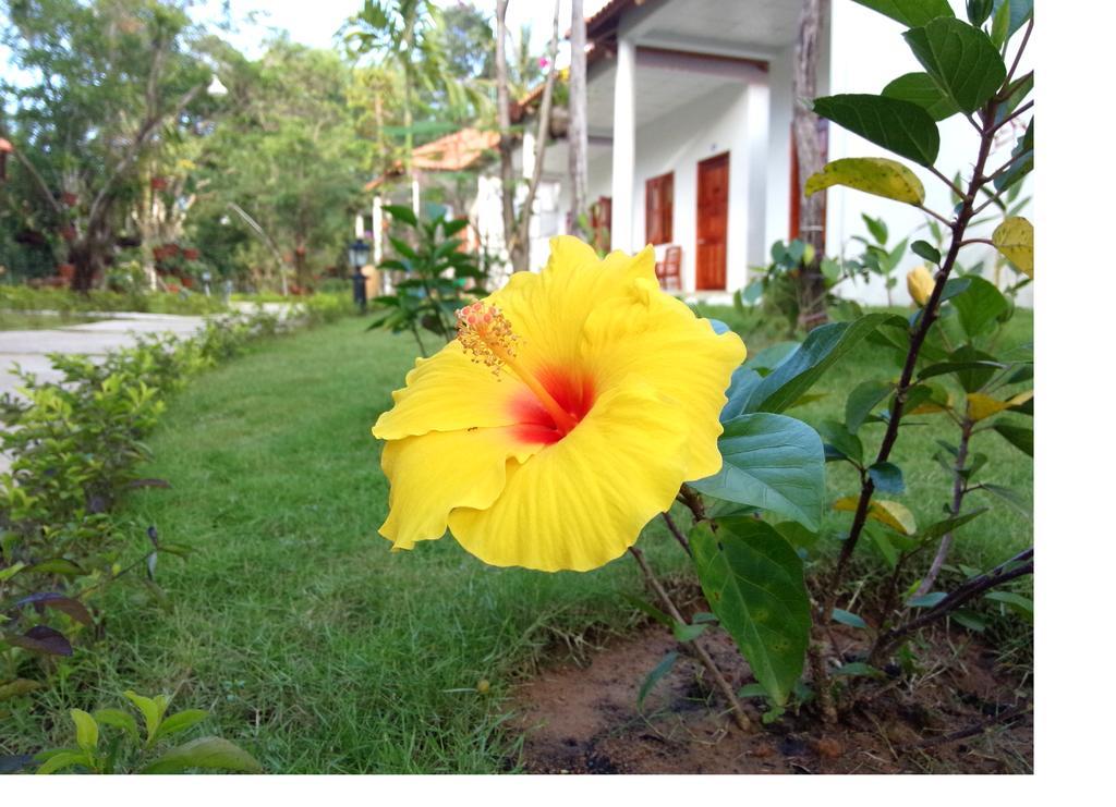 Highland Bungalow Phu Quoc Exteriér fotografie